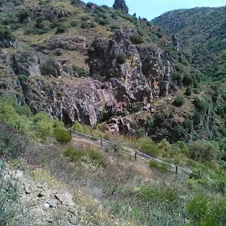 Santa Teresinha * Campo de Viboras